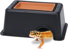 Cargar imagen en el visor de la galería, Cueva Húmeda - ReptilHábitat