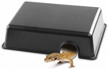 Cargar imagen en el visor de la galería, Cuevas de plástico - ReptilHábitat