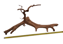 Cargar imagen en el visor de la galería, Rama raíz Spider GRANDES