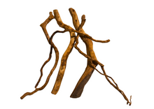 Cargar imagen en el visor de la galería, Bolsa de ramas