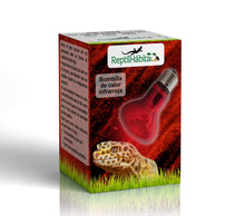 Cargar imagen en el visor de la galería, Bombilla Infrarroja - ReptilHábitat