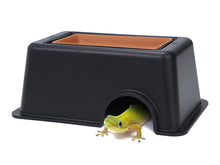 Cargar imagen en el visor de la galería, Cueva Húmeda - ReptilHábitat