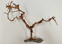 Cargar imagen en el visor de la galería, Árbol natural con base de piedra