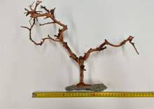 Cargar imagen en el visor de la galería, Árbol natural con base de piedra