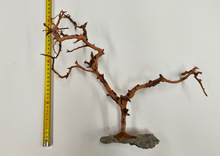 Cargar imagen en el visor de la galería, Árbol natural con base de piedra