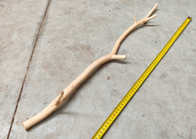 Cargar imagen en el visor de la galería, Ramas de nogal