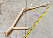 Cargar imagen en el visor de la galería, Ramas de nogal