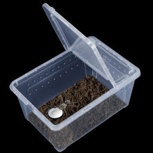 Cargar imagen en el visor de la galería, Box de alimentación ReptilHábitat - ReptilHábitat