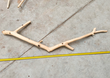 Cargar imagen en el visor de la galería, Ramas de nogal