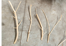 Cargar imagen en el visor de la galería, Ramas de nogal