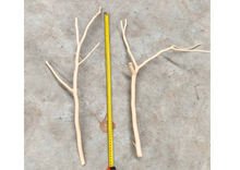 Cargar imagen en el visor de la galería, Ramas de nogal