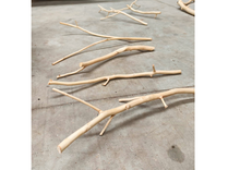 Cargar imagen en el visor de la galería, Ramas de nogal