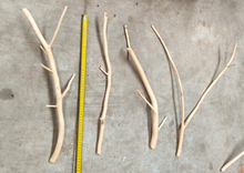 Cargar imagen en el visor de la galería, Ramas de nogal