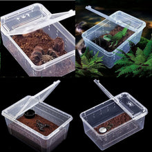 Cargar imagen en el visor de la galería, Box de alimentación ReptilHábitat - ReptilHábitat