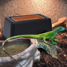 Cargar imagen en el visor de la galería, Cueva Húmeda - ReptilHábitat