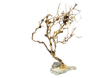 Cargar imagen en el visor de la galería, Árbol natural con base de piedra