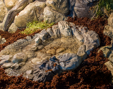 Cargar imagen en el visor de la galería, Bebedero a RAS, para enterrar