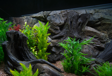 Cargar imagen en el visor de la galería, Fondo Piedra y Raices- Varios tamaños