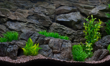 Cargar imagen en el visor de la galería, Fondo Rocoso PRO - ROCA Marrón- Varios tamaños