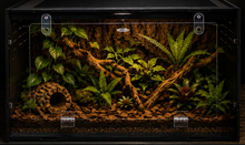 Cargar imagen en el visor de la galería, Terrario SLIM
