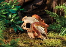 Cargar imagen en el visor de la galería, Cráneo de Búfalo GRANDE