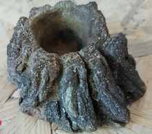Cargar imagen en el visor de la galería, Cuenco de terrario XXS