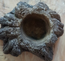 Cargar imagen en el visor de la galería, Cuenco de terrario XXS