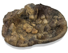 Cargar imagen en el visor de la galería, Bebedero a RAS, para enterrar