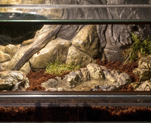 Cargar imagen en el visor de la galería, Bebedero a RAS, para enterrar