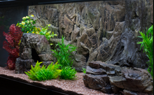 Cargar imagen en el visor de la galería, Fondo Rocoso con tronco - Varios tamaños