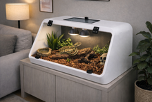 Cargar imagen en el visor de la galería, Terrario VisionPro ReptilHábitat