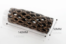 Cargar imagen en el visor de la galería, Esqueleto de cactus cholla