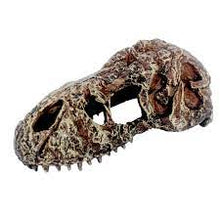 Cargar imagen en el visor de la galería, Cráneo de T-REX NANO