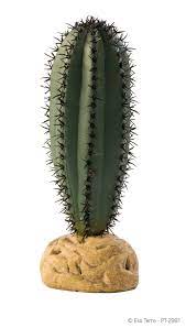 Cactus Saguaro - Planta desértica Exo Terra