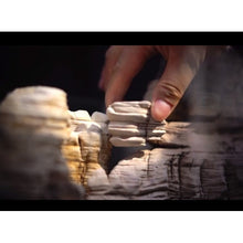 Cargar imagen en el visor de la galería, Piedra natural - Elephant Skin