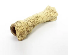 Cargar imagen en el visor de la galería, Refugio cueva hueso