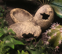 Cargar imagen en el visor de la galería, Huevos fósiles comedero y refugio