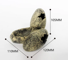 Cargar imagen en el visor de la galería, Huevos fósiles comedero y refugio