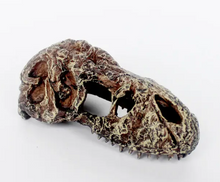 Cargar imagen en el visor de la galería, Cráneo de T-REX NANO