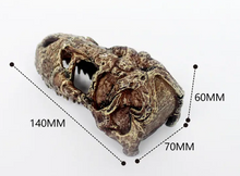 Cargar imagen en el visor de la galería, Cráneo de T-REX NANO