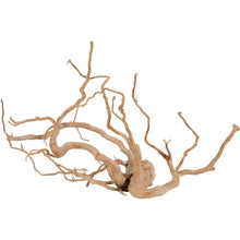 Cargar imagen en el visor de la galería, Rama raíz Spider GRANDES