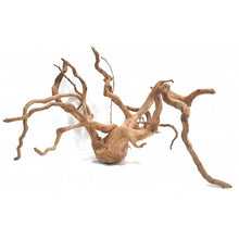 Cargar imagen en el visor de la galería, Rama raíz Spider GRANDES