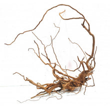 Cargar imagen en el visor de la galería, Rama raíz Spider GRANDES