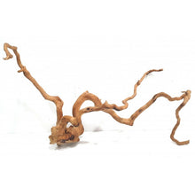 Cargar imagen en el visor de la galería, Rama raíz Spider GRANDES