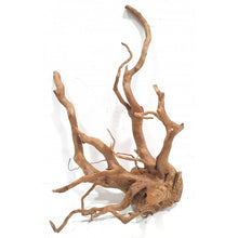 Cargar imagen en el visor de la galería, Rama raíz Spider GRANDES