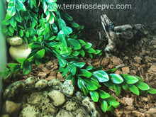 Cargar imagen en el visor de la galería, 120x50x50 (6748939190471)