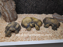 Cargar imagen en el visor de la galería, CUEVA NATURAL HIDING EXO TERRA (6748940009671)