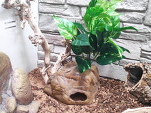 Cargar imagen en el visor de la galería, Cueva Gecko Exo-Terra