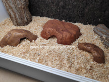 Cargar imagen en el visor de la galería, CUEVA REPTILE CAVE EXO TERRA (6748939845831)