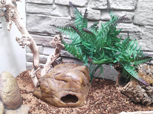 Cargar imagen en el visor de la galería, Rama FOREST BRANCH Exo-Terra
